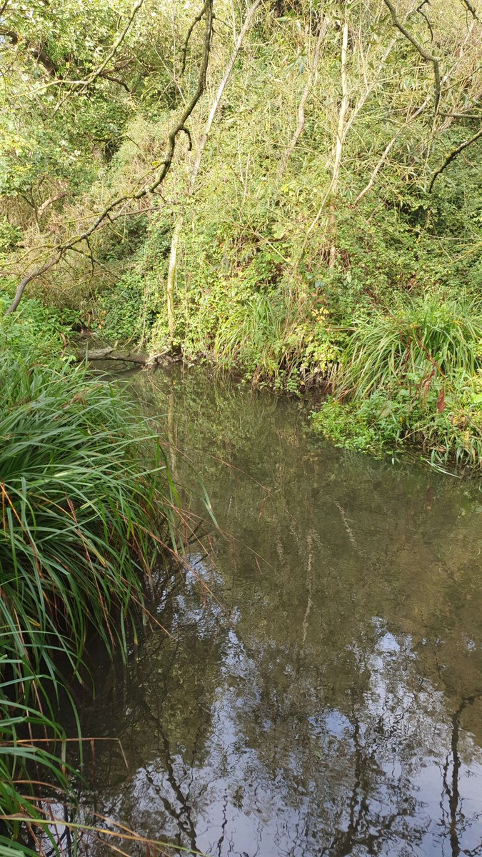 A lot has been happening over the past months on Urban Citizen's 6.3.2. We have trained 4⃣5⃣ individual people, who will go out in groups to monitor water quality. Our #CitizenScientists have gathered data from 7⃣0⃣ points. These cover 4⃣ urban catchments in Dublin.