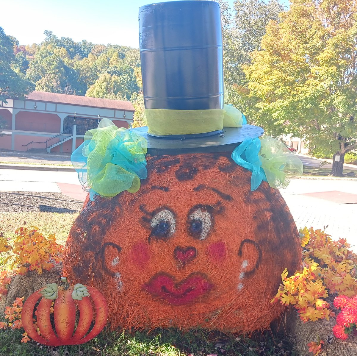 accordtermite's tweet photo. Happy Fall y'all! This lovely lady was found during a routine pest control stop in Helen, GA! https://t.co/YCMEcfMhzv
