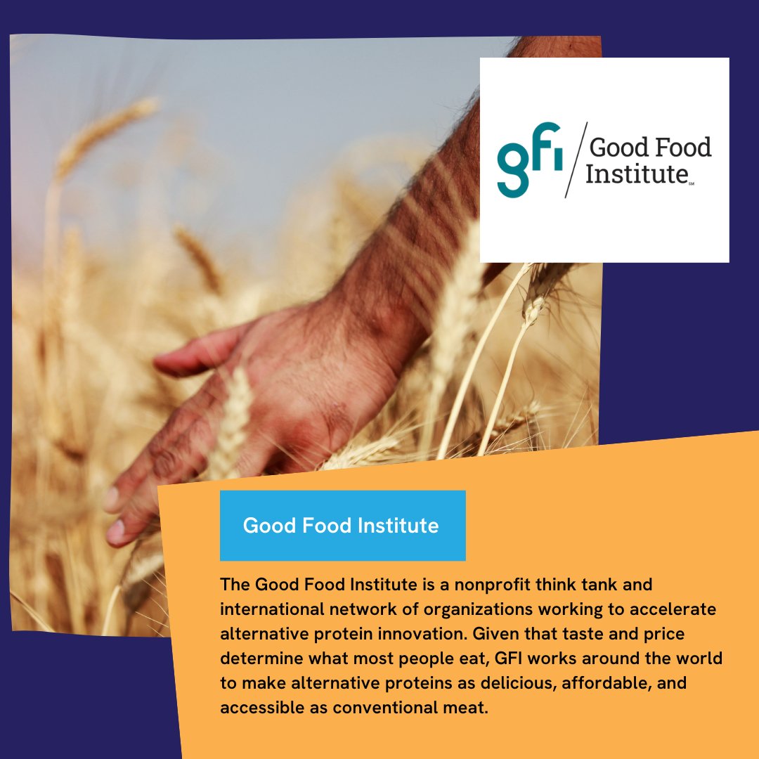 The Match Drive for 2023 supports highly impactful charities that are making a meaningful impact worldwide. You Donate. We Match. (Part 3/3) <a href="/AnimalCharityEv/">Animal Charity Evaluators (ACE)</a> <a href="/cleanaircatf/">Clean Air Task Force</a> <a href="/GoodFoodInst/">The Good Food Institute</a>