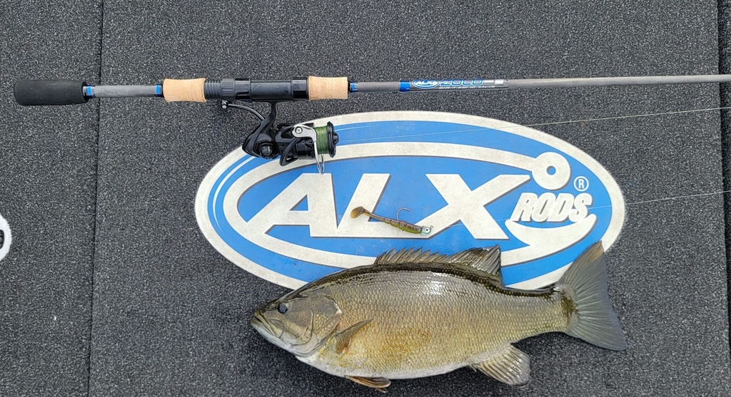 ALXRods's tweet photo. ZOLO Hover doing work on big smallies with Tony McCalmant! https://t.co/duYzG5iH2O