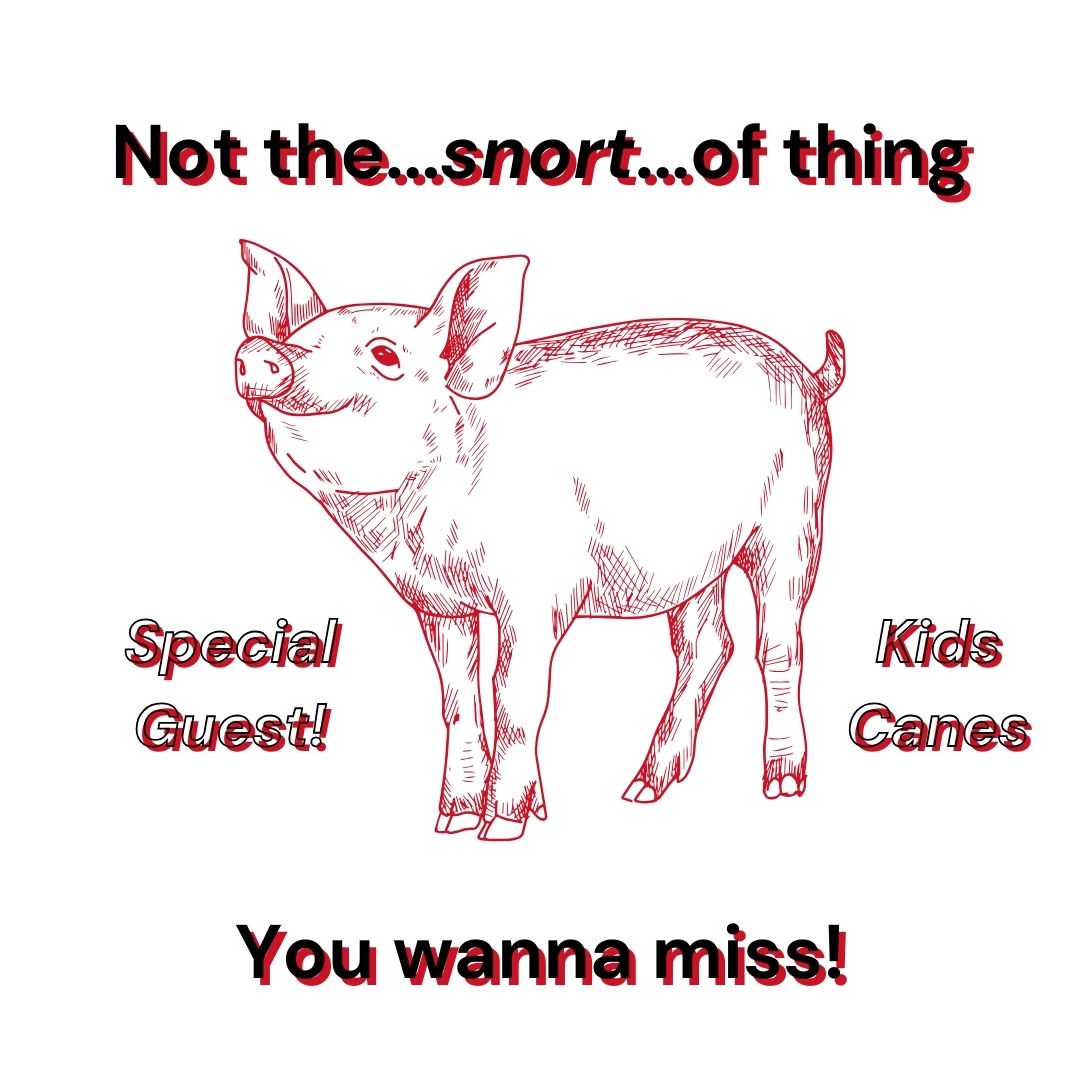 Our special guest not the...snort...of thing you wanna miss! 
#pigs #kidscanes @canes #kidshockey #kidshockeycontent #mostjuniorhurricanesreporter #CauseChaos  #takewarning #LetsGoCanes 
@CardiacCane @DtrHamilton