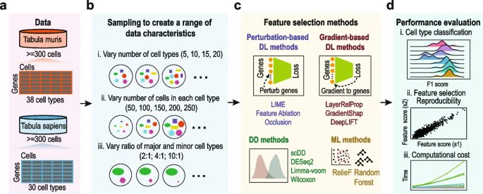 Genome Biology (@genomebiology) on Twitter photo New research from <a href="/PengyiYang82/">Computational Systems Biology Lab</a> <a href="/haohuang1999/">Hao Lawrence Huang</a> & co. <a href="/Sydney_Uni/">University of Sydney</a> providing a reference for future development and application of #deeplearning based feature selection methods for single-cell omics data analyses
bit.ly/47xz54N New research from <a href="/PengyiYang82/">Computational Systems Biology Lab</a> <a href="/haohuang1999/">Hao Lawrence Huang</a> & co. <a href="/Sydney_Uni/">University of Sydney</a> providing a reference for future development and application of #deeplearning based feature selection methods for single-cell omics data analyses
bit.ly/47xz54N