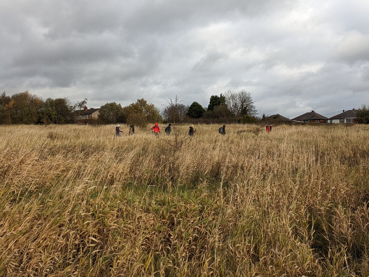 Soil Ecology Lab UoM tweet media