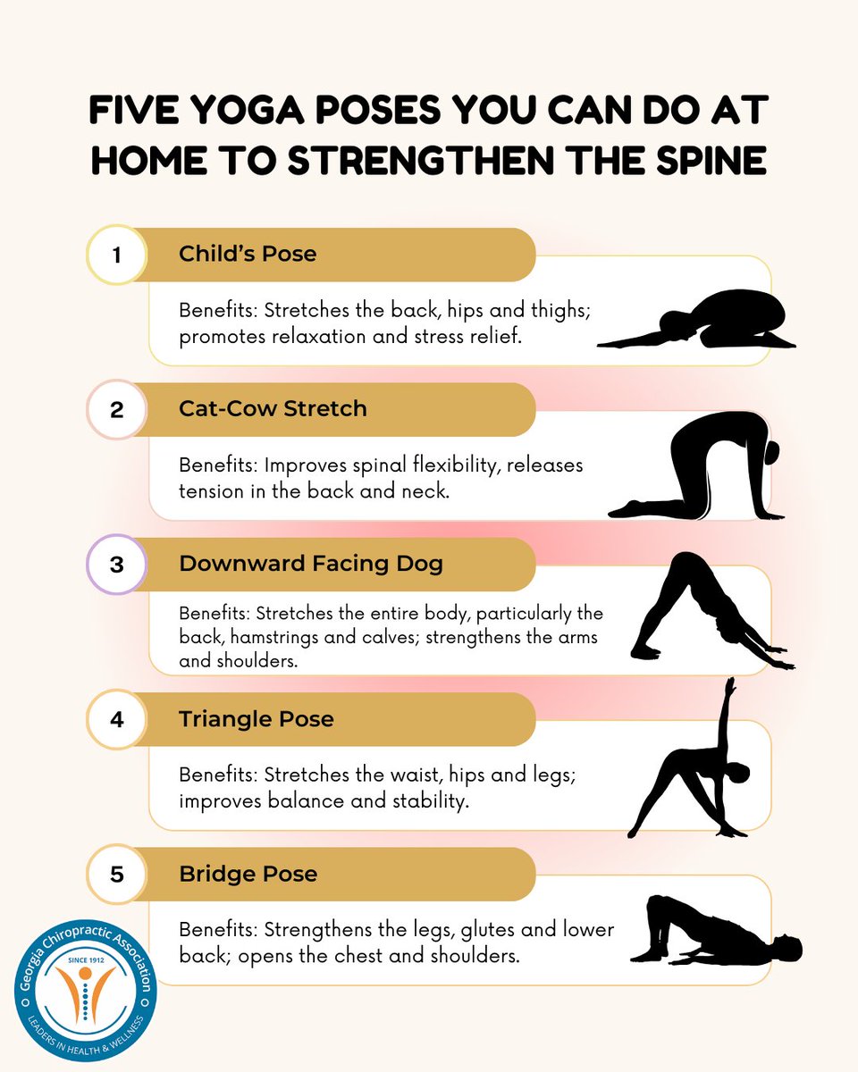 GA Chiropractic Assn tweet media