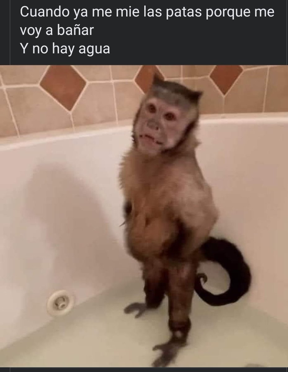 #ami