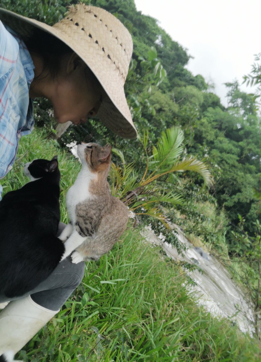 POV: vas a meditar frente al río y se te suben dos gathijos a las piernas. 
#loQueCallamosLasKarens 
#gatosEnLaSelva #gatosfelices