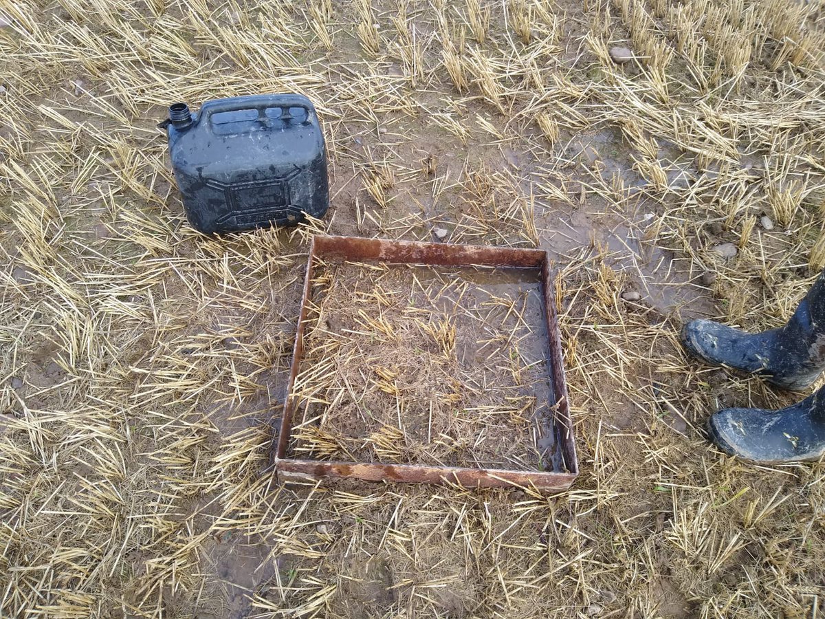 afbi_cross's tweet photo. Earthworms are being extracted and measured as the Manure in Arable trial concludes after three years of applying a range of organic manures to spring barley. We found good earthworm activity, and analysis will show any treatment effects on soil chemistry, biology, and structure. https://t.co/rZki5dyXox
