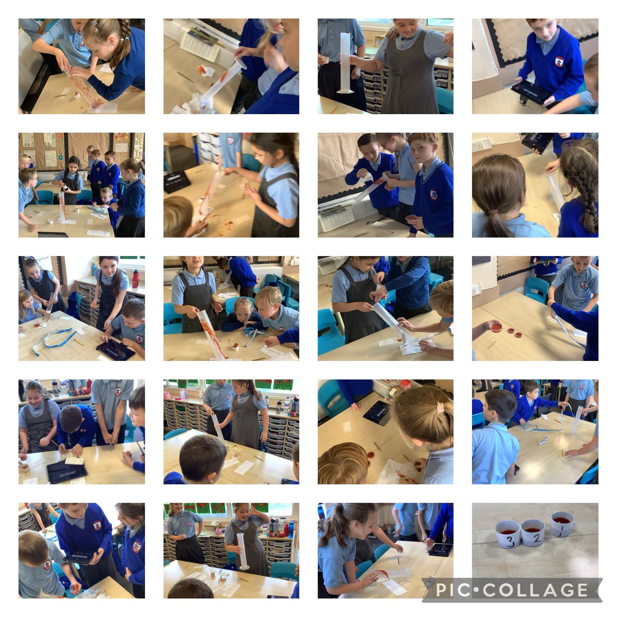 StGregory’sPrimarySchool (@stgregorysneth) on Twitter photo Year 4 have had a fun filled afternoon in science 🧫 investigating whether all liquids behave in the same way science 🧪 <a href="/StGregorysNeth/">StGregory’sPrimarySchool</a> Year 4 have had a fun filled afternoon in science 🧫 investigating whether all liquids behave in the same way science 🧪 <a href="/StGregorysNeth/">StGregory’sPrimarySchool</a>