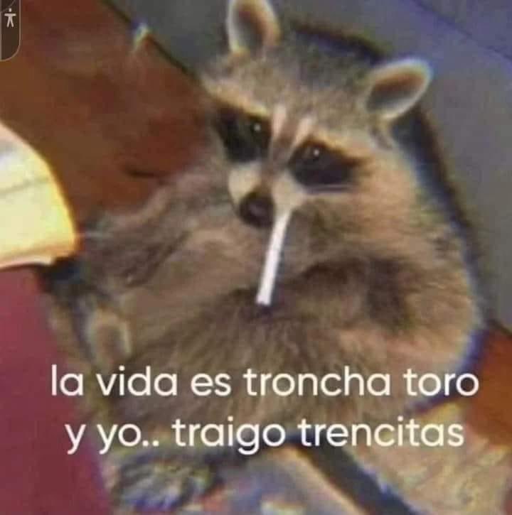 Buen Martes! 😄