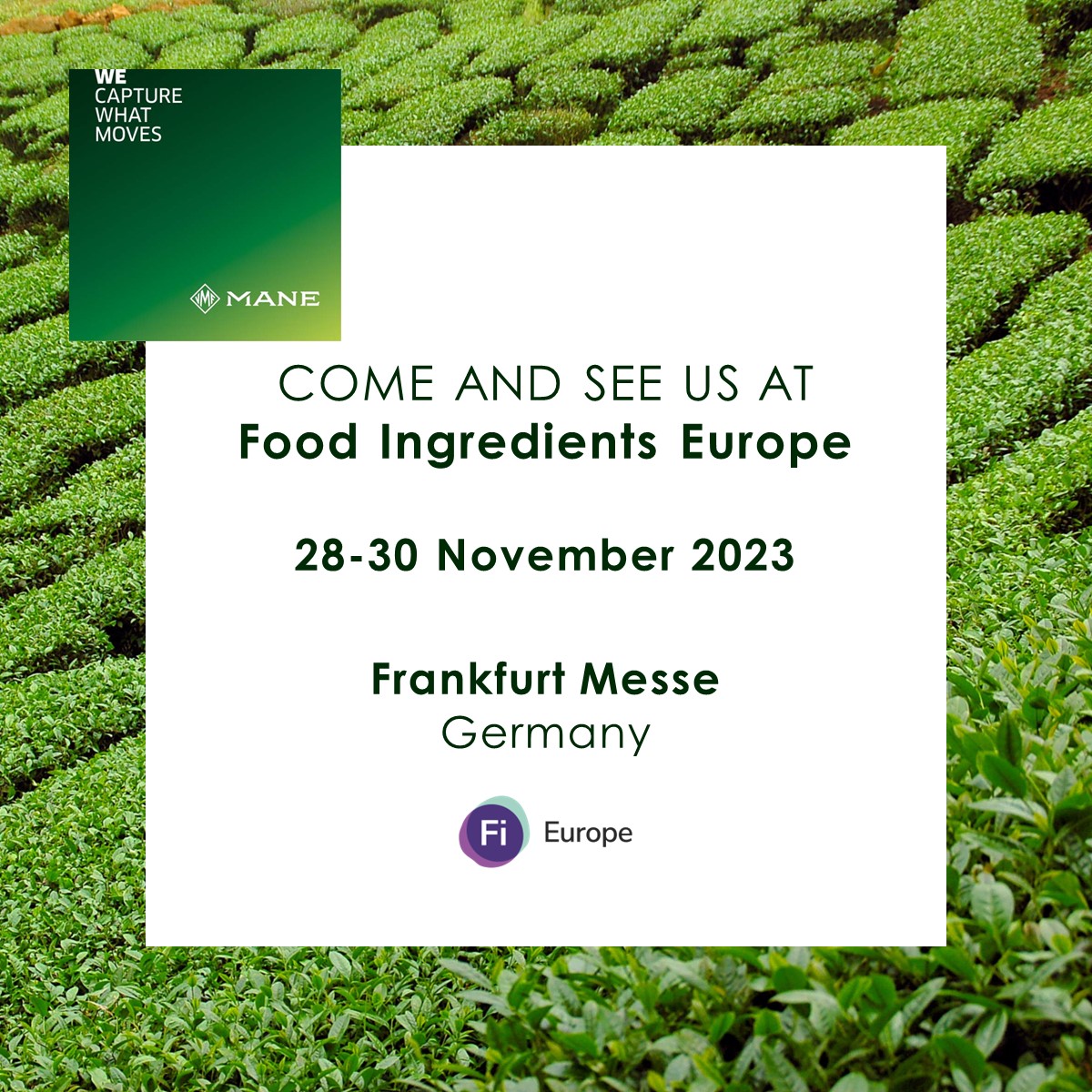 MANE (@manegroup) on Twitter photo We invite you to discover our extraordinary ingredients at the <a href="/Fi_FiEurope/">Food ingredients Europe</a> 2023 tradeshow that will take place from 28 to 30 November in Frankfurt.
Come and connect with our experts at Stand K61, Hall 4.1
#IntegratedTasteJourney #Ingredients #Sourcing We invite you to discover our extraordinary ingredients at the <a href="/Fi_FiEurope/">Food ingredients Europe</a> 2023 tradeshow that will take place from 28 to 30 November in Frankfurt.
Come and connect with our experts at Stand K61, Hall 4.1
#IntegratedTasteJourney #Ingredients #Sourcing
