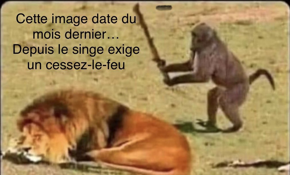 Chlomo (@chlomohebdo) on Twitter photo 