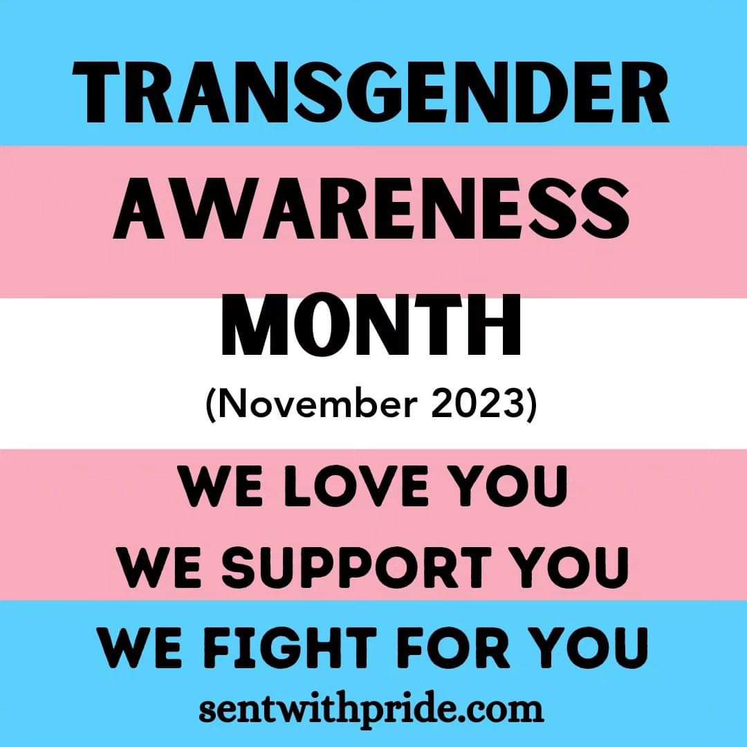 HAPPY TRANSGENDER AWARENESS MONTH TO ALL MY TRANS FANS ❤️BE PROUD FOR WHO YOU ARE 🏳️‍⚧️ You are valid 😊 #dontlethatersbringyoudown #showyoursupport #transgenderawareness