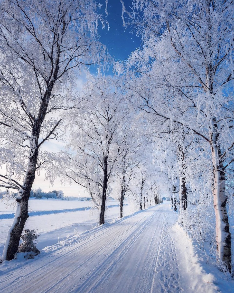 Winter journeys in Finland ❄️