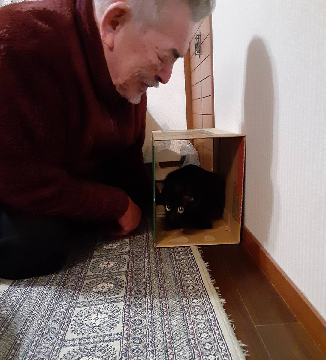 turi2018's tweet photo. 親父が「るる～どこかな～」って言いながら、探している振りをしていたんだけど…

「まだ見つかっていない」と思ってる黒猫が可愛すぎた https://t.co/q27dkNX0SZ