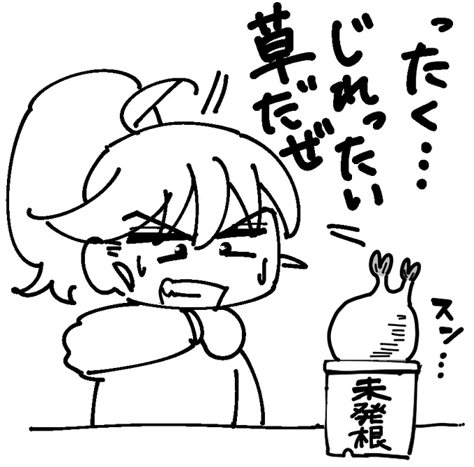 グラキリス 