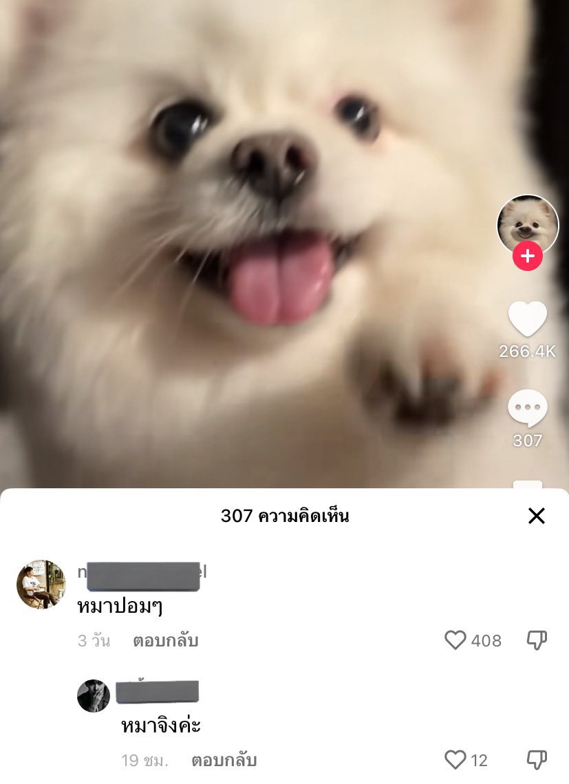 มิรๆๆๆๆๆๆๆๆ♡🦕 ˚ ༘ * (@minjshito) on Twitter photo 