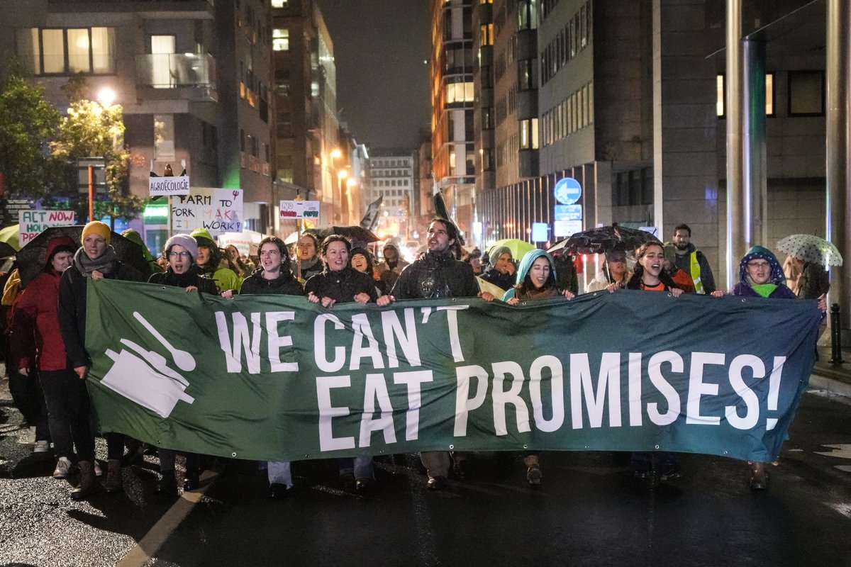 ✨Thank you to the 25 organisations and hundreds of people who protested by the EU Parliament and BASF. Our voices were loud: EU, #WeCantEatPromises and we are fed up with the #Pesticides lobby. The movement for #GoodFoodGoodFarming is here to stay!🌊 fian.be/EU-put-food-sy…