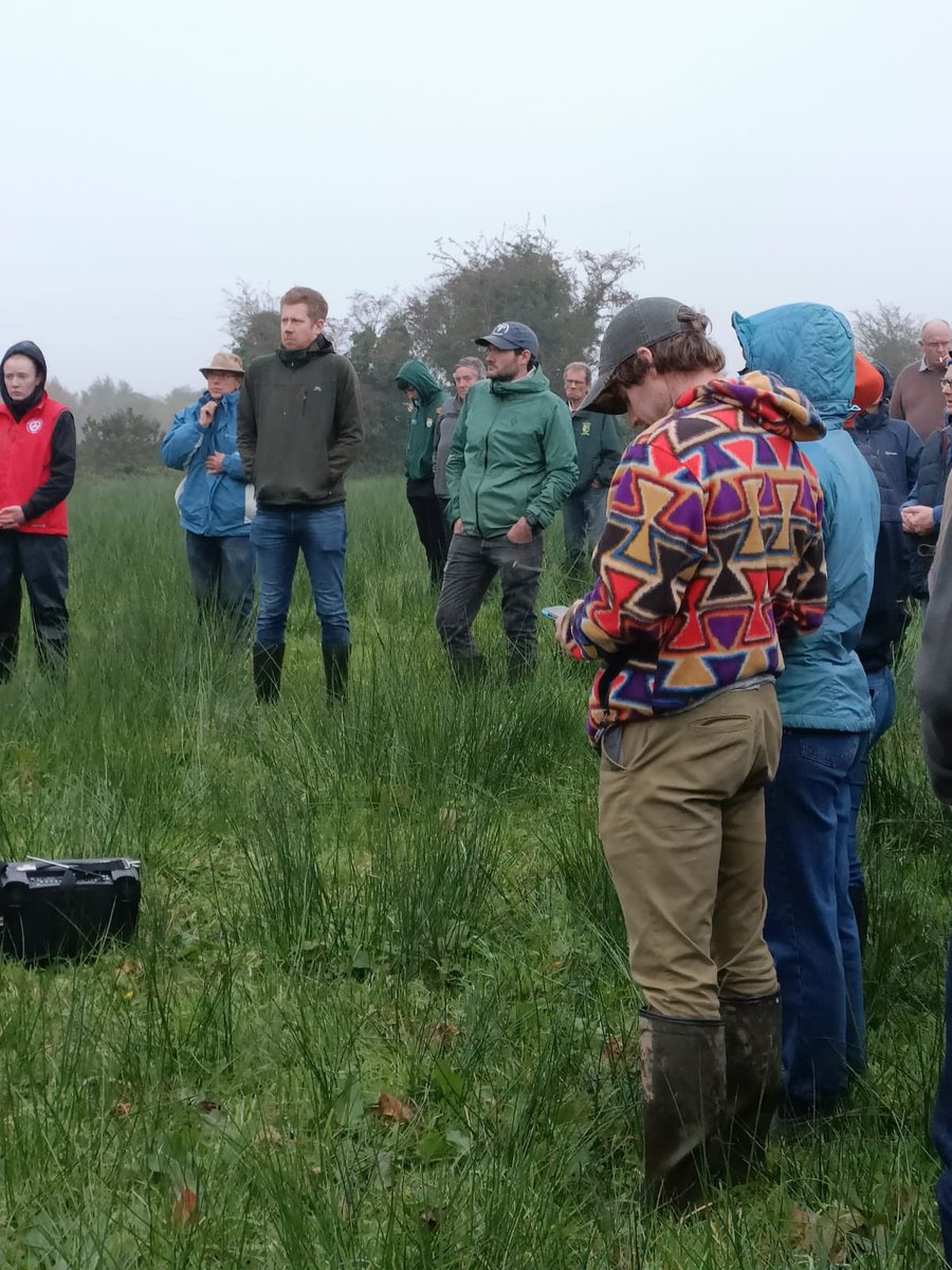 Photos taken at our more recent walk. We were kindly hosted by Pat McInerney. An informative day was had.