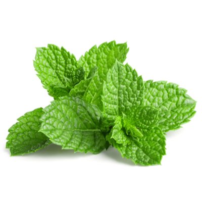 ChasmanShachar's tweet image. תעזרו לנענע הזאת לקבל יותר לייקים מניסים פטרוזילה