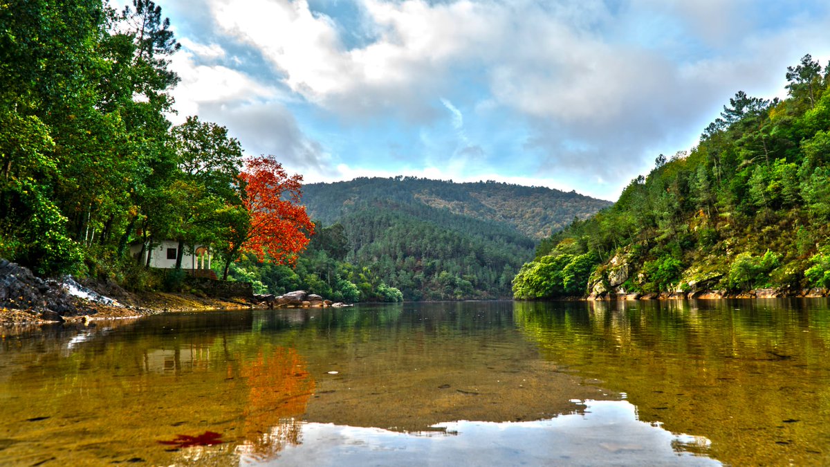 Restaurante Playa Da Cova tweet media