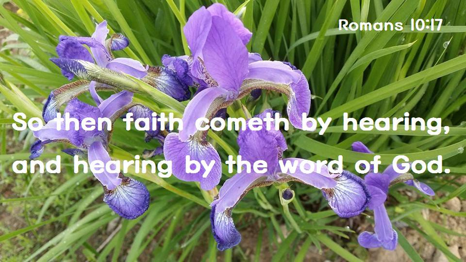 So then faith cometh by hearing, and hearing by the word of God. @groupehaus @linsonvarughese @angelar23572632 @4everyoungmary @gleutz @jessicafoxx_nyc @garlandgloria @rileycarmela @ivangracia11 @elaine_perry @marion_fairy @mimiloveletter @ravi49023861