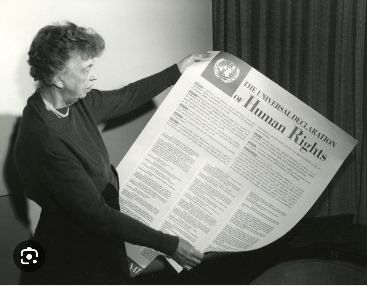 On 7/12 @TilburgLaw & @NNHRResearch will award the Max vd Stoel Human Rights prize 🏆 for the best PhD/Master theses. Very excited that prof. @Rianneletschert President @maasuniversity & alumna of Tilburg Law School will deliver the keynote #humanrights75 #60yearsTilburgLawSchool