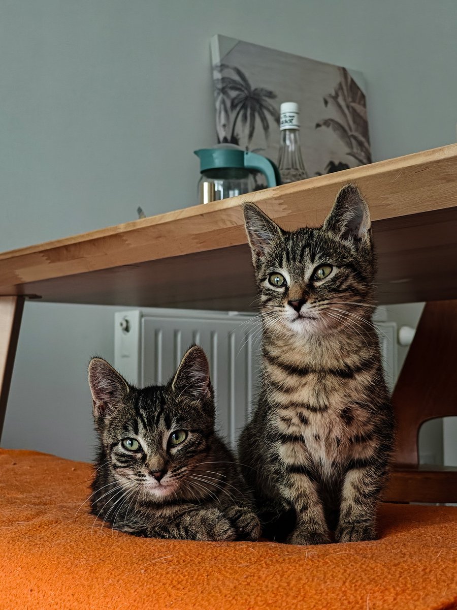 Humain en gare 🚉 tweet media