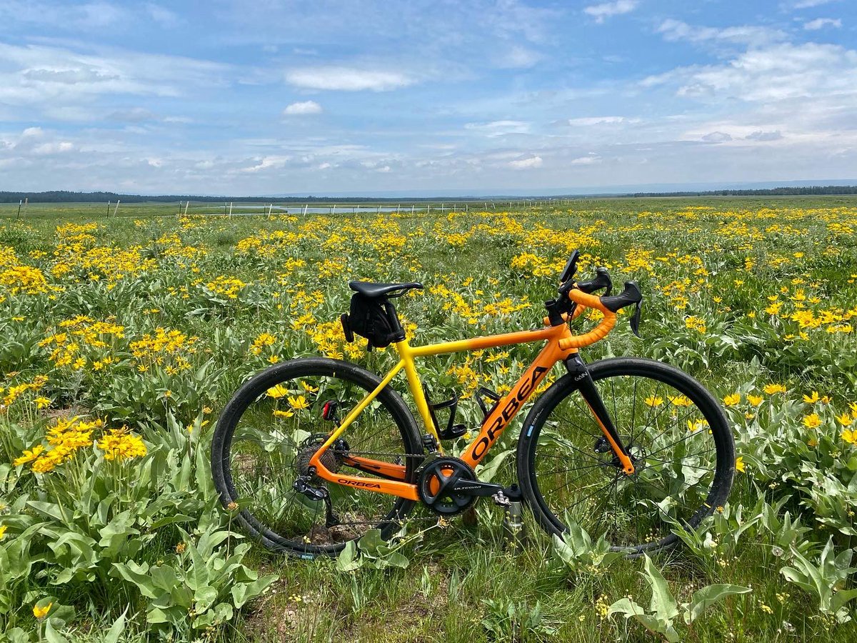 BlackfordBarb's tweet image. 2023 Challenge x2 complete! 4046 miles by foot or bike. Many miles in some beautiful spots, from the Tetons to Glacier NP to Plains, MT.

With only six weeks and cold weather on the way, can get to 4500 for the year?

#2023challenge #fitafter50 #liveoutdoors