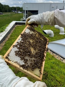 Op 18, 23, 24, 27 en 29 november kun je een kijkje nemen bij Peekstok Machining &amp; Construction in <a href="/gemeentehia/">Hendrik-Ido-Ambacht</a>! Dit bedrijf heeft allerlei duurzame stappen gezet. Zowel op het gebied van energiebesparing als biodiversiteit. Meld je aan voor een bezoek via: platformduurzamebedrijven.nl/bedrijf/peekst…