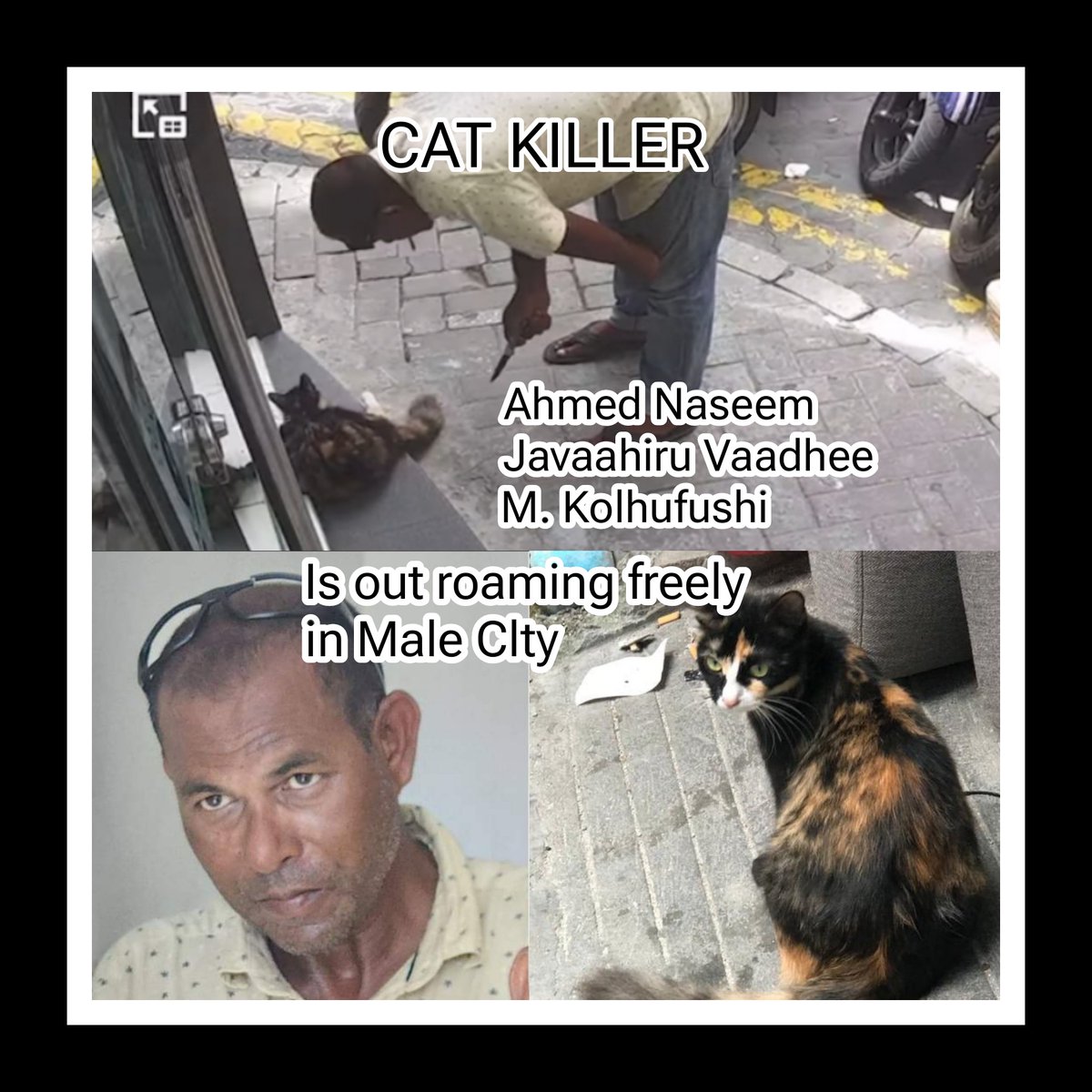 WARNING: 
The Cat Killer NASEEM is free again and let out to kill more cats.. 

Please be aware that he is ARMED AND DANGEROUS.. 

He may stab any one of you , or your children.. 
If you see him on the roads,  Please DEFEND YOURSELF FROM HIM !!!