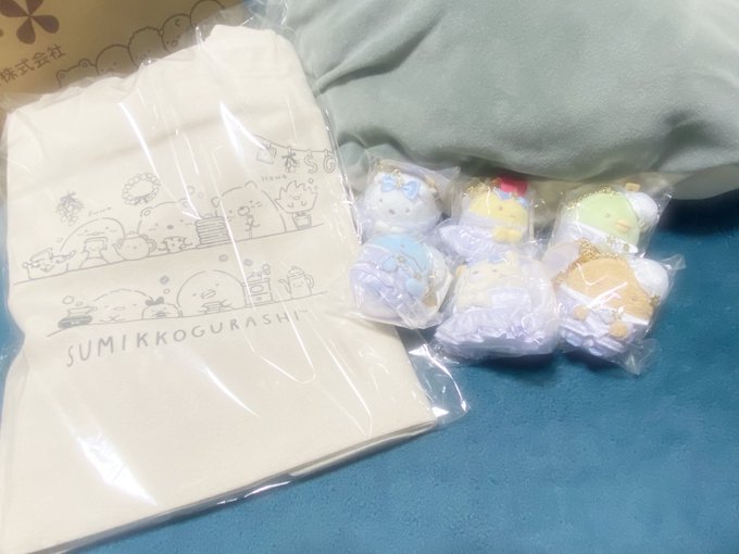 届いた!