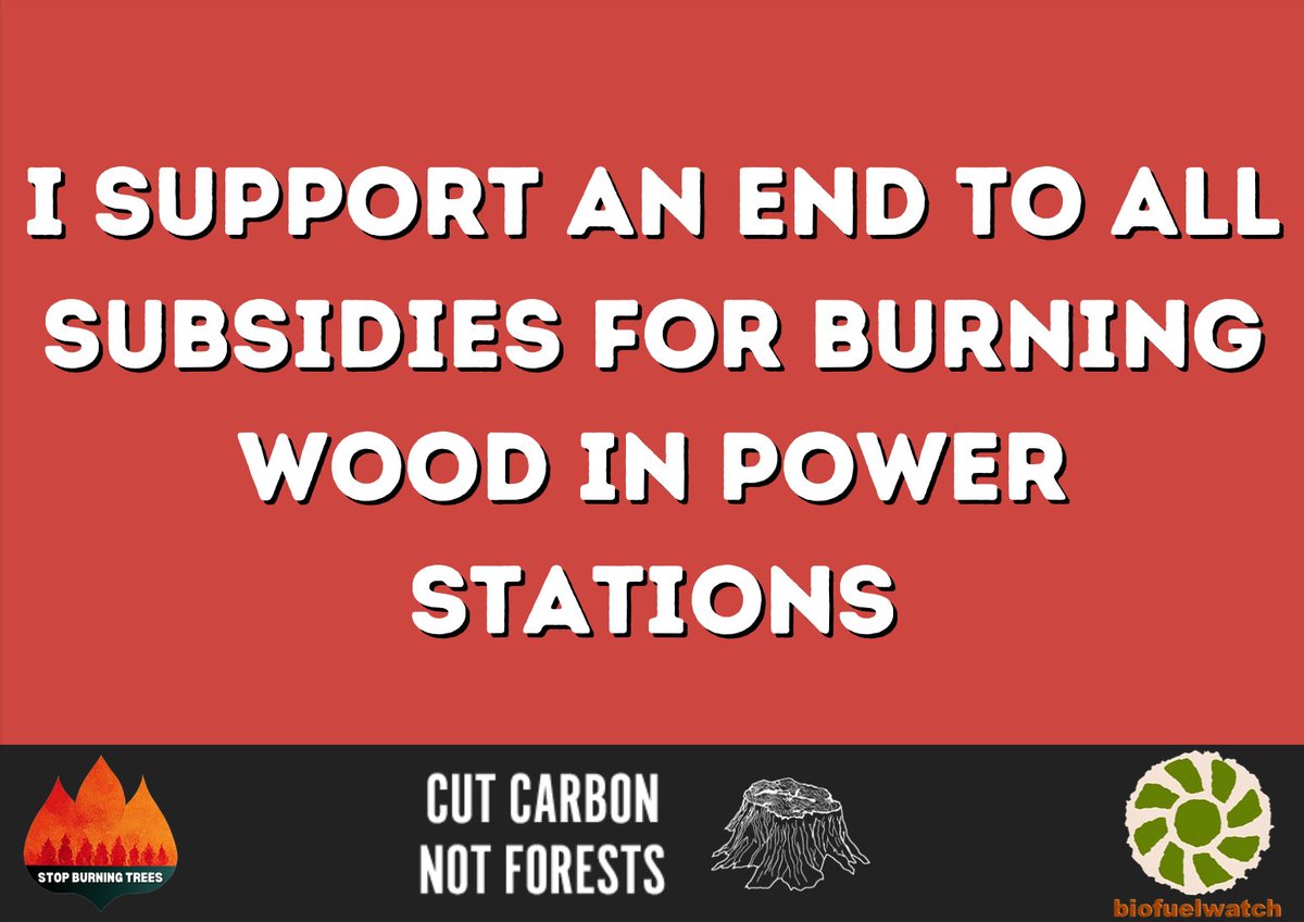 Companies like Drax are burning trees &amp; polluting our planet for their own profit. Rather than make them pay for damage &amp; help people with sky-high energy bills, Govt has gifted them *£11 billion* in subsidies. The greenwash has to stop. I've signed pledge to #StopBurningTrees 👇