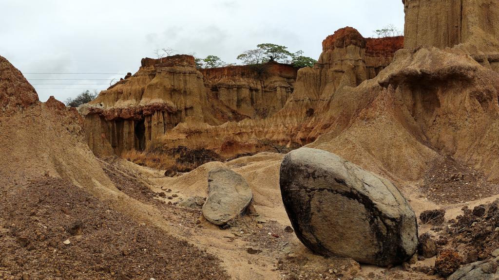eva_lauma's tweet photo. My photo from #Tanzania #nature #beautiful #travelphotography https://t.co/XI0qHYN8qo