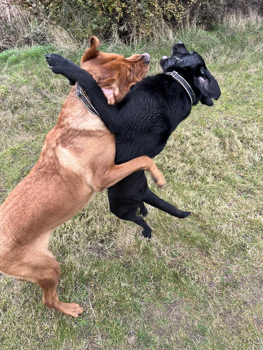 Lunch time biteyface