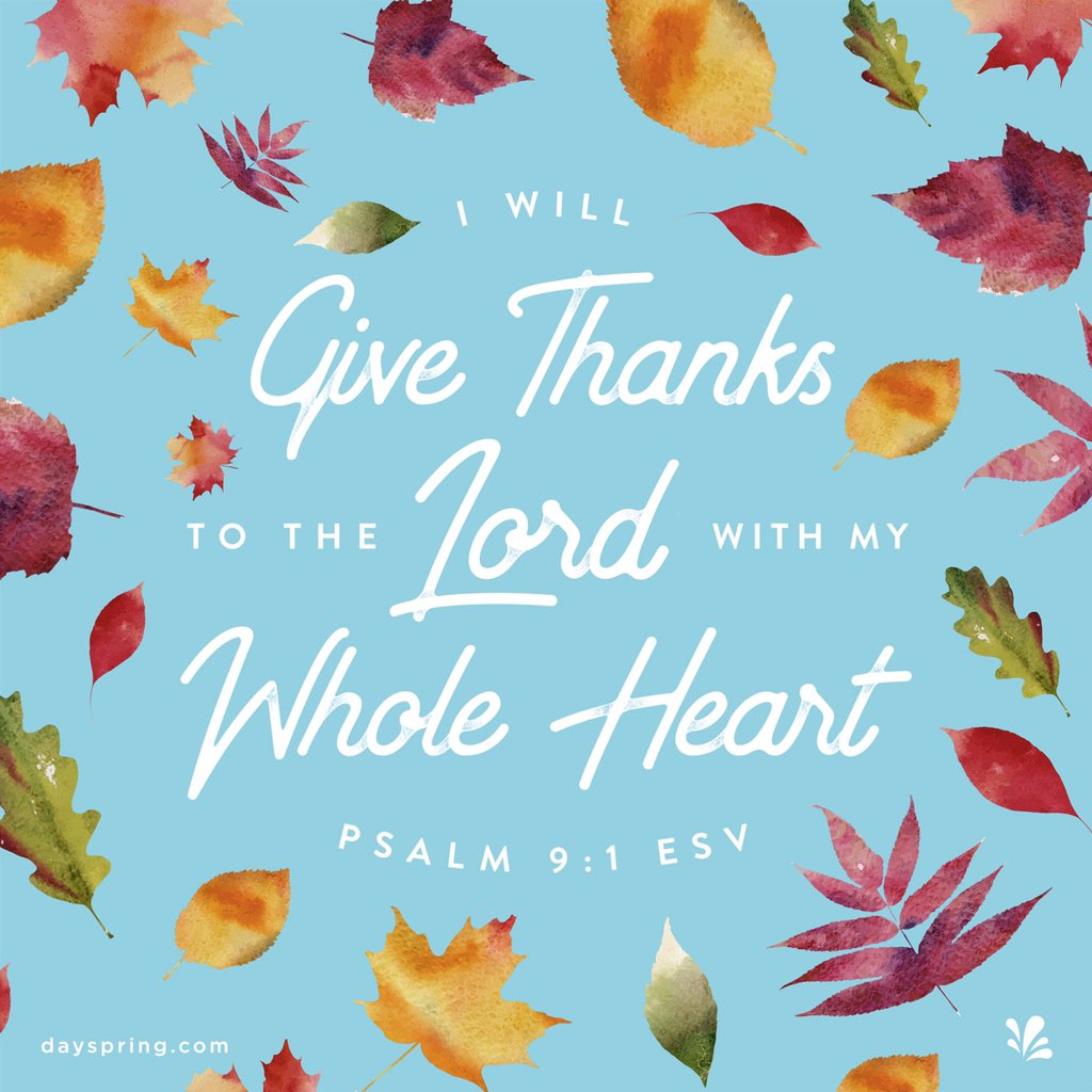 SOEKC1's tweet image. In every stage of life, God wants us to be grateful. Gratitude turns what we have into enough. It’s the open door to abundance. It’s not happiness that brings us gratitude. It’s gratitude that brings us happiness.

#GiveThanks #LiveALifeOfGratitude #LearnToBeGrateful #InAllThings