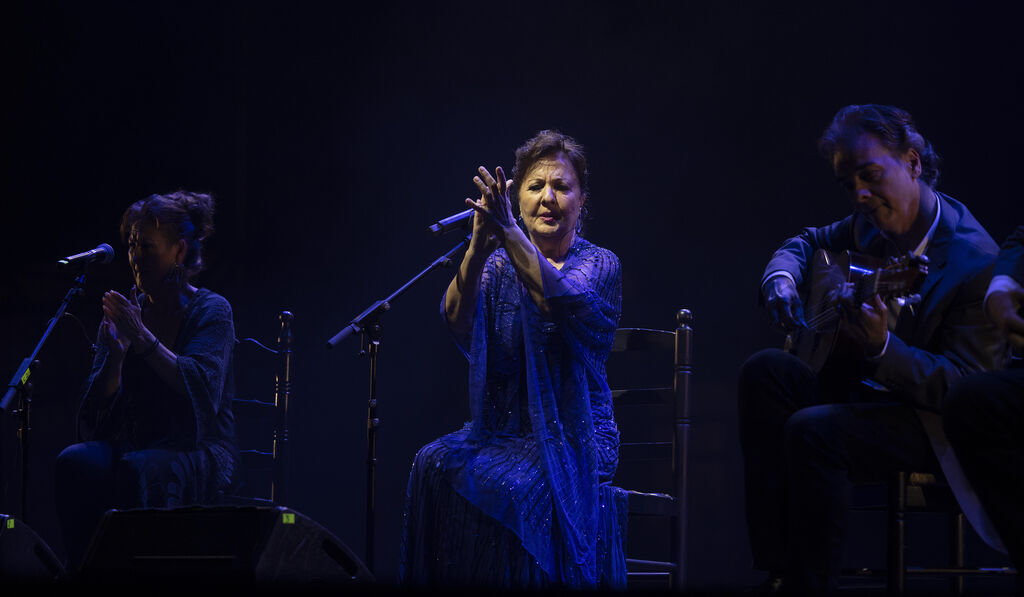 Vive Flamenco tweet media