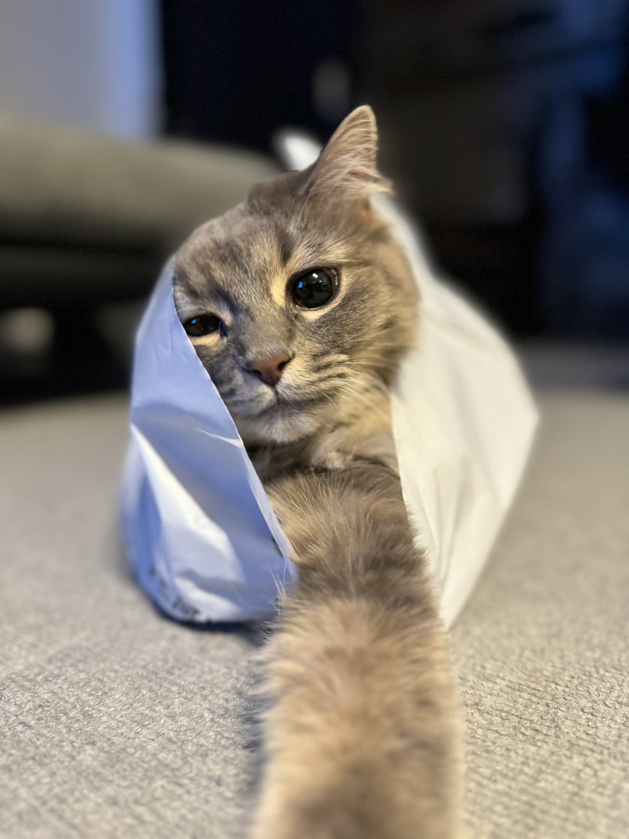 wlvp_d's tweet photo. iPhone15Pro MAX https://t.co/gOsMa2iGoc