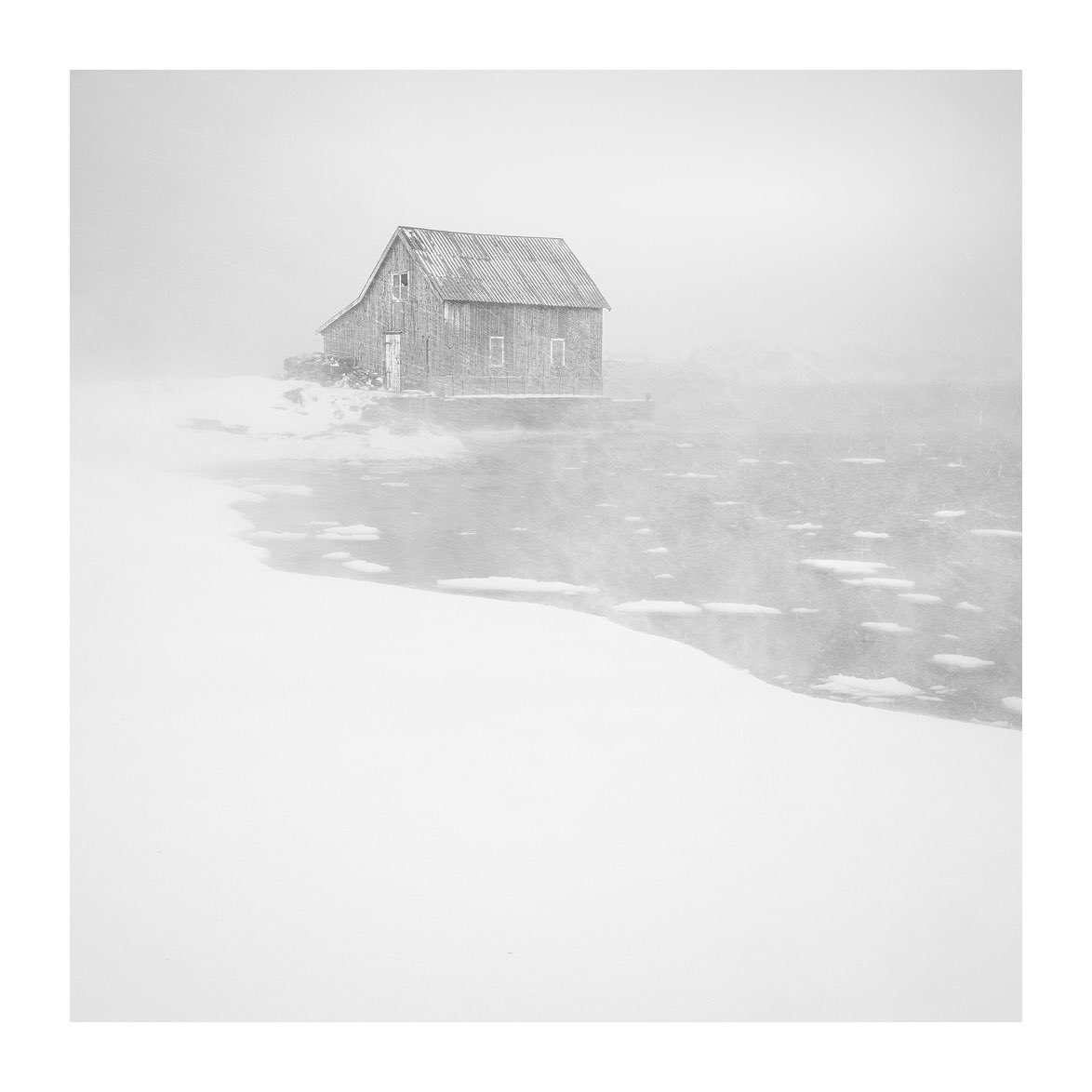 Arild Heitmann tweet media