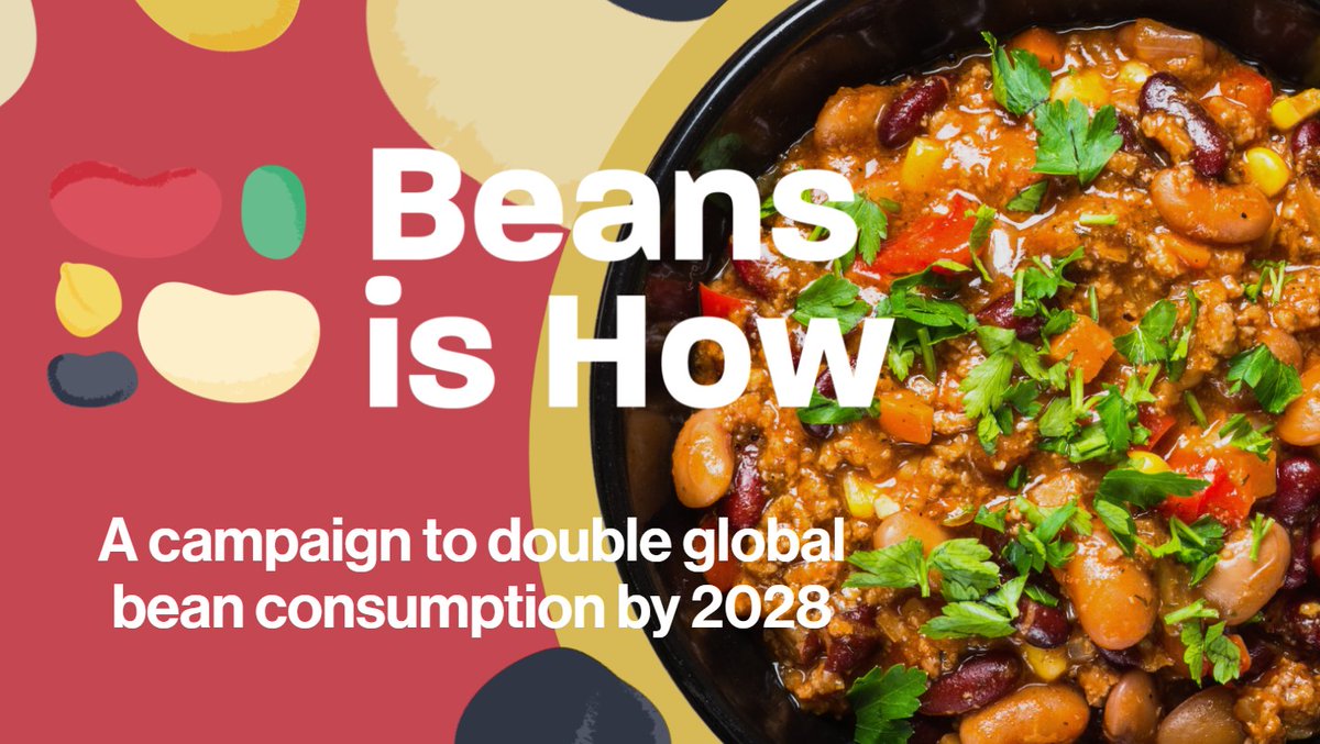 🫘  A global coalition has mobilised with the aim of doubling the consumption of #beans by 2028!

In our latest #blog @AliMorpeth from @SDG2AdvocacyHub explains how beans can help the #health of citizens and the #planet

Read more: ➡️ tinyurl.com/ux53j6p6
#VegSummit…
