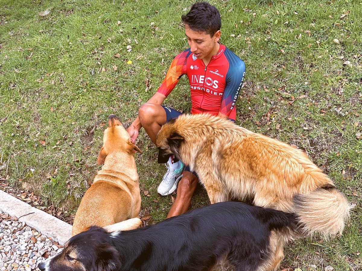 Laura_Meseguer's tweet photo. 🎬 En nuestro octavo día en Latinoamérica, visitamos a @Eganbernal. Una se queda con la idea clara de que quien se le sienta delante es un batallador con mente positiva  y corazón de guerrero. Que sueña despierto y que no se conforma. 

Francamente, en este viaje, cada día es una nueva inspiración. 

Seguimos camino a Zipaquirá.

🔜 @eurosport 

#ciclismo #Eurosport #EganBernal #ciclismocolombiano