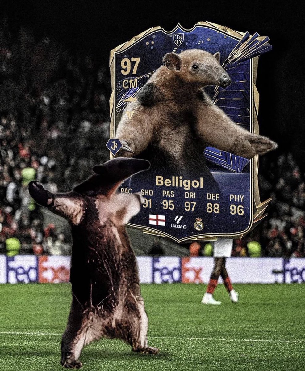 cleevlund's tweet image. twitch.tv/cleevlund