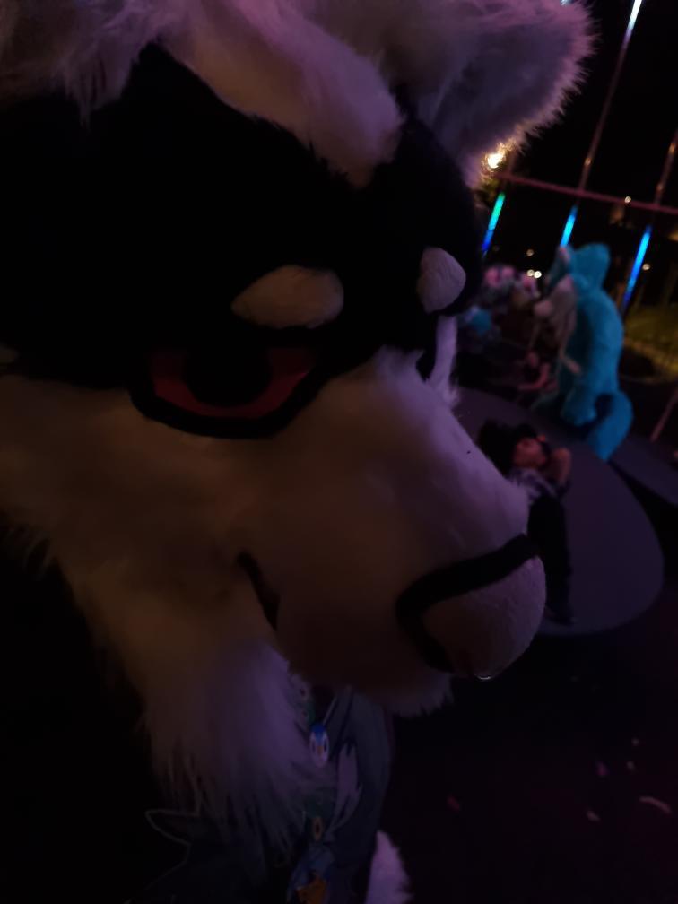 D00bie_x3's tweet photo. What photo in your gallery made Doobie give you this look? https://t.co/LeTUDGKEiD
