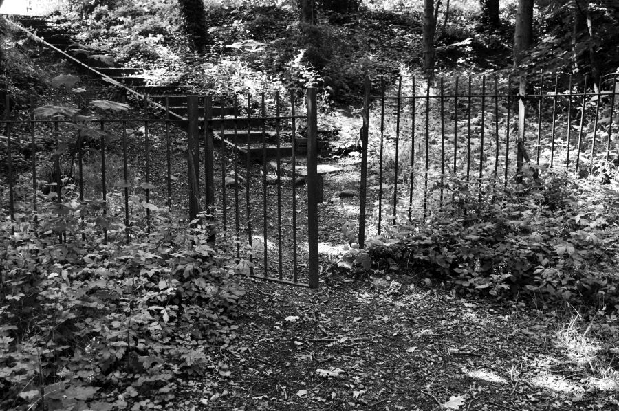 CHORLEY.
Astley Park. A fence and a gate in the woods.
#AstleyPark #gate #fence #woodlands #Chorley #blackandwhitephotography #LANCASHIRE