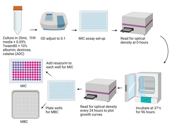 LifETIME-CDT (@cdtlifetime) on Twitter photo "From bench to bedside: how physiological relevance underpins the future for Mycobacterium abscessus drug discovery."
Read our latest blog by <a href="/EmilyBaker25/">Emily Baker</a> on her PhD project.
Read the blog here: lifetime-cdt.org/2023/11/14/fro…
#mycobacteria #cysticfibrosis <a href="/DrJonathanCox/">Dr Jonathan Cox</a> "From bench to bedside: how physiological relevance underpins the future for Mycobacterium abscessus drug discovery."
Read our latest blog by <a href="/EmilyBaker25/">Emily Baker</a> on her PhD project.
Read the blog here: lifetime-cdt.org/2023/11/14/fro…
#mycobacteria #cysticfibrosis <a href="/DrJonathanCox/">Dr Jonathan Cox</a>