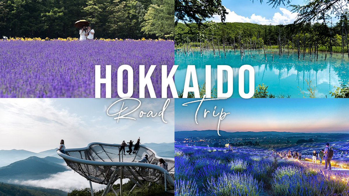 sfcdaikick's tweet photo. 【YouTube更新】
北海道 富良野・トマム・美瑛ドライブ旅公開！

ラベンダー畑や雲海など、絶景スポットばかりで楽しかったー！！
皆さんの次の旅の参考になれば。

動画のリンクはコメント欄に。

#北海道旅行 #富良野 #トマム #美瑛 https://t.co/UBPv1qS4RL