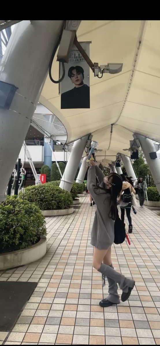 mob:) tweet media