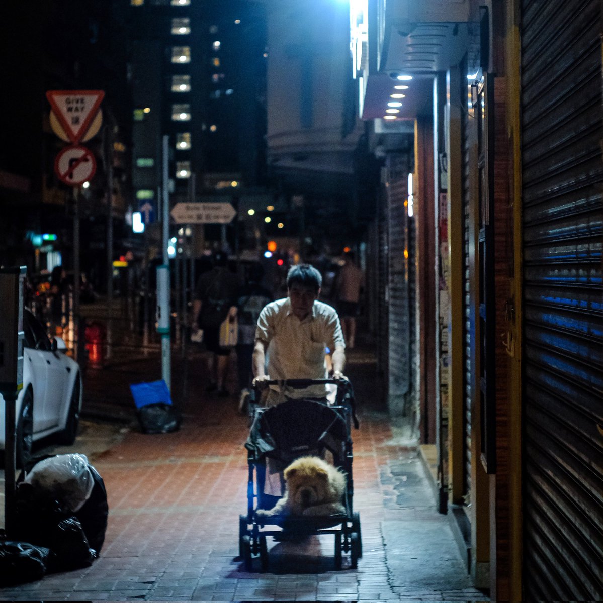furkids in stroller ...🐶#hkig #furkids #petstroller #discoveryhongkong #instapet #streetphotography #chowchow #hongkonginsta #under_the_sign_hongkong #hkiger #nightshot #hongkonglifestyle #citylife #nightwalk #夜行 #walkalone