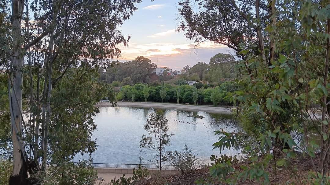 Abierto el Parque Moret: A cuidarlo, que no tiene copia.