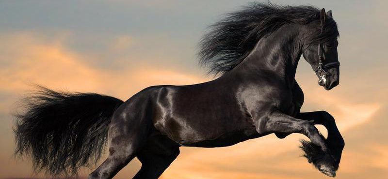 HealthShop00's tweet image. Click Here; 👇
 healthdiet-99.blogspot.com 

#weightloss #fitness #health #weight #diet #loss #yoga #ketobullet #ketocoffee #weightloss #fitness