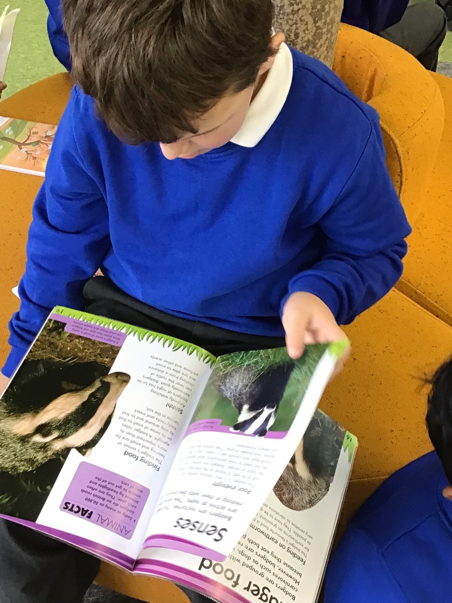 LFP_MrsH's tweet image. 3MC enjoying their Library session today. 📚💕#learntoreadreadtolearn
@Lea_Forest_HT @lea_forest_curr @LFP_MCollis @LFP_DHT_MrW @LFP_Dep @lea_forest_aet